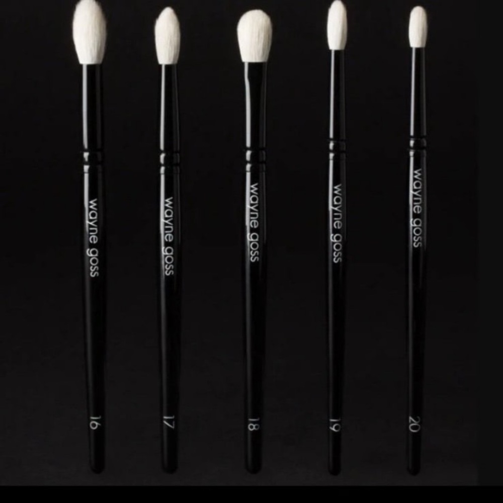 WAYNE GOSS - The Eye Set - Brushes 16 - 20 NWOB